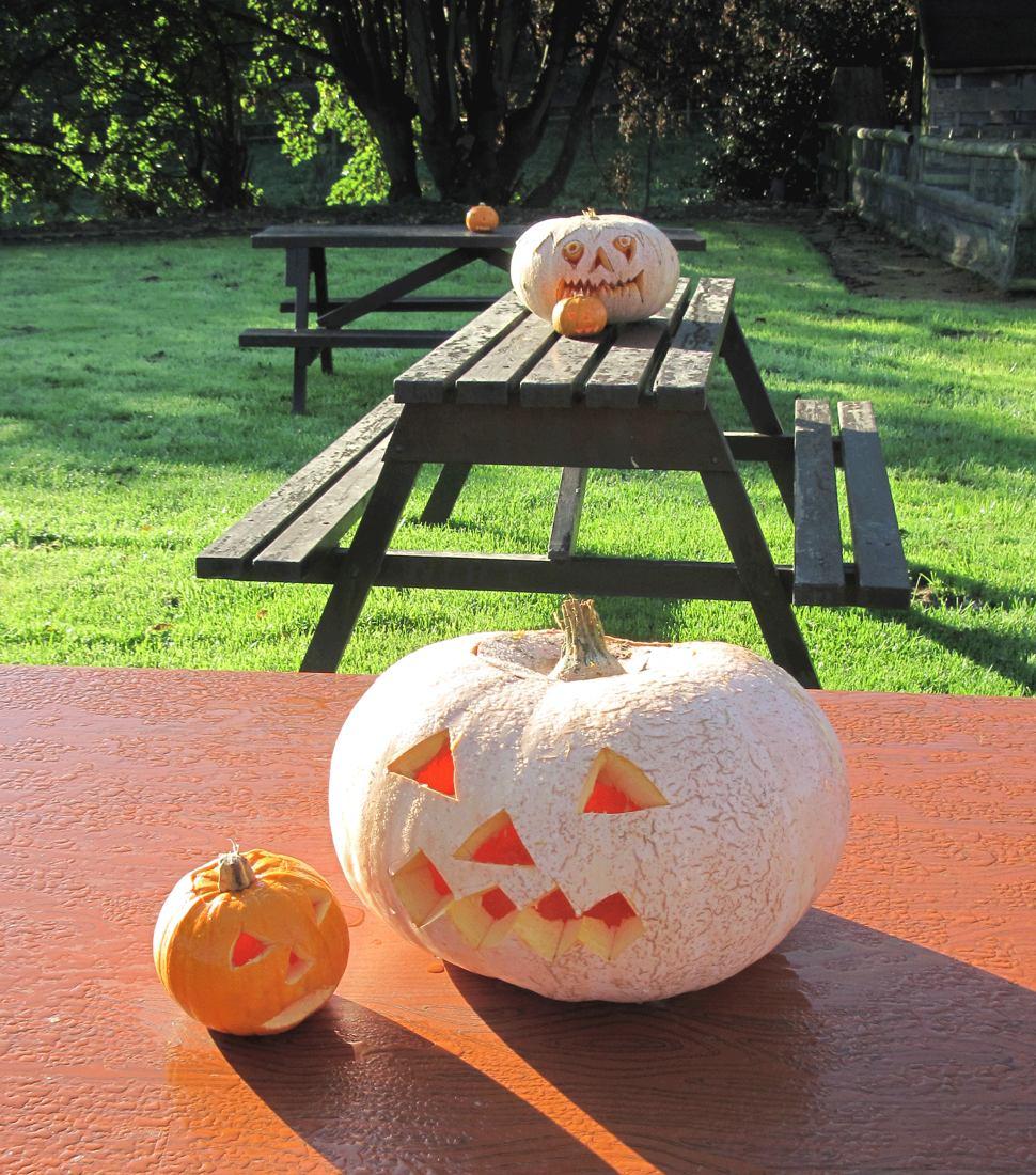 Carved pumpkins. Seasonal inspiration, not a contest entry.
