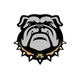 Alvord Bulldogs